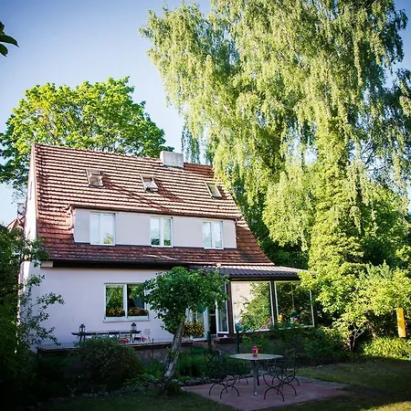 Hostel Hostelino