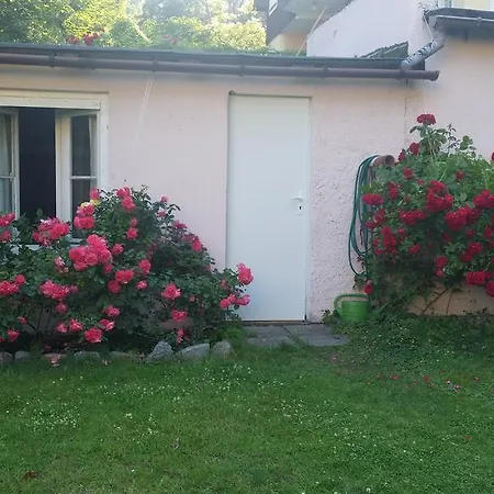 Hostel Hostelino