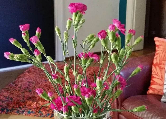 Хостел Hostelino