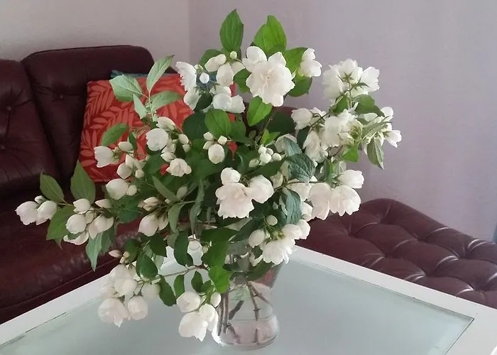 Hostelino 旅馆 索波特